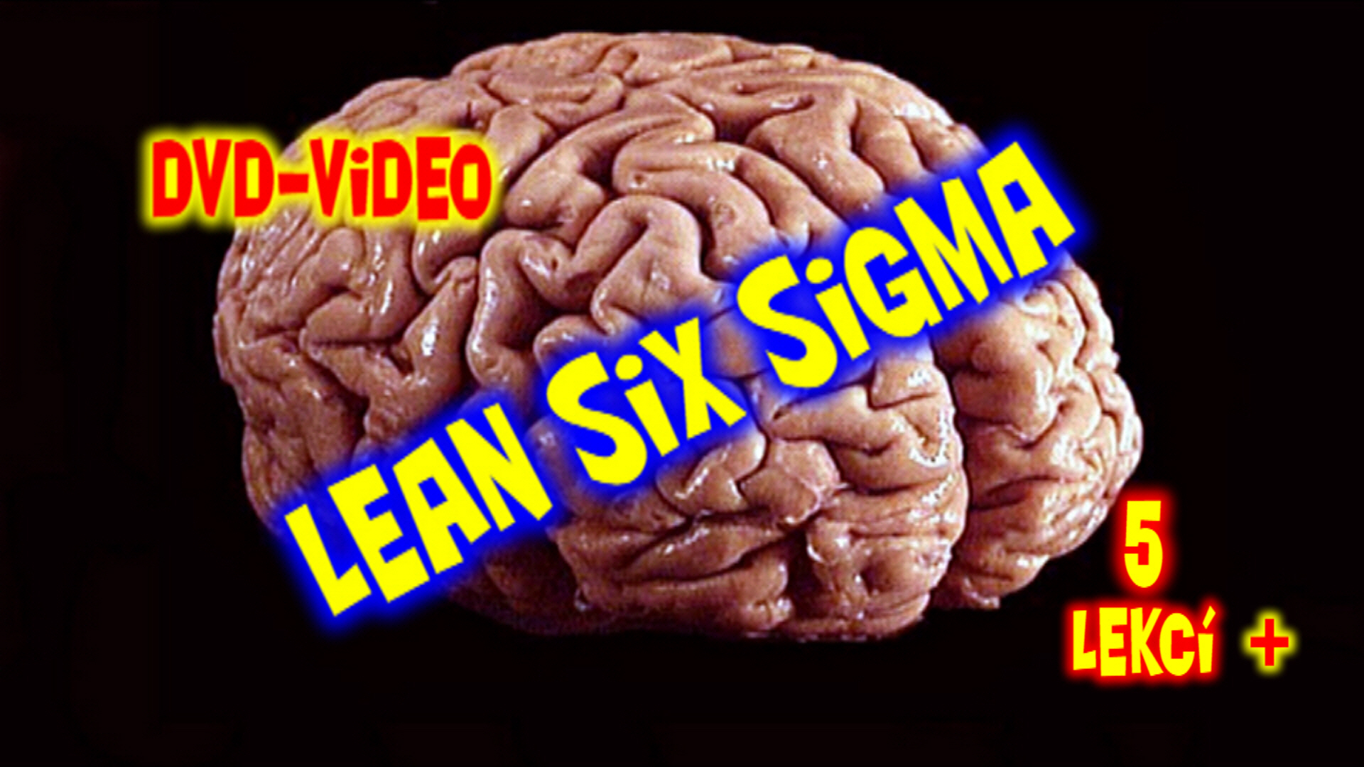 Lean Sex Sigma 5 lessons