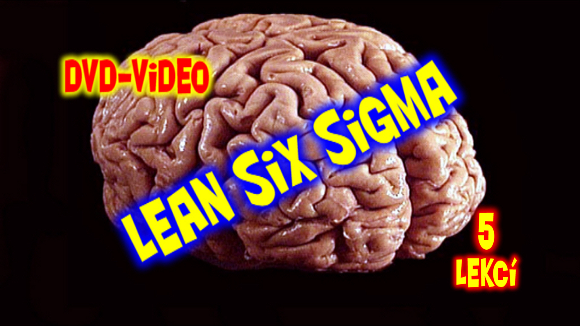 Lean Six Sigma 5 lessons